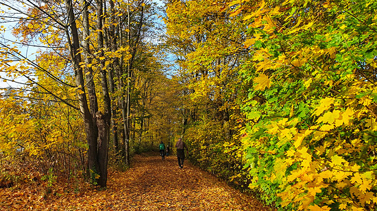 Radtour zu den Seeterrassen am Happurger See zu ☕️🍰