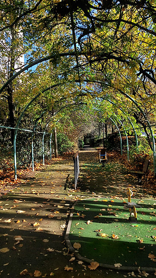 Winterpokal-Aktivität