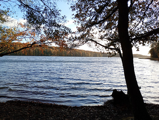 Winterpokal-Aktivität