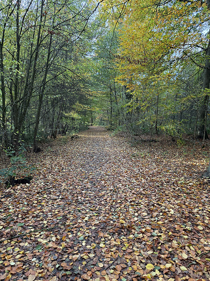 Winterpokal-Aktivität