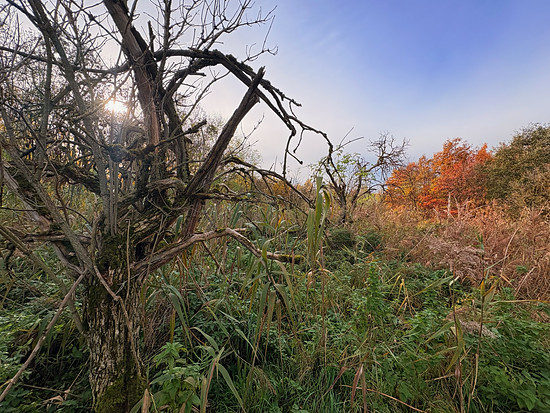 Wegkacheln Squadratinho 31×31 → 32×32