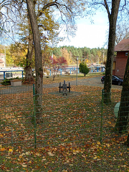 Winterpokal-Aktivität