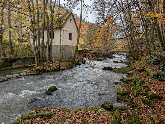 Winterpokal-Aktivität