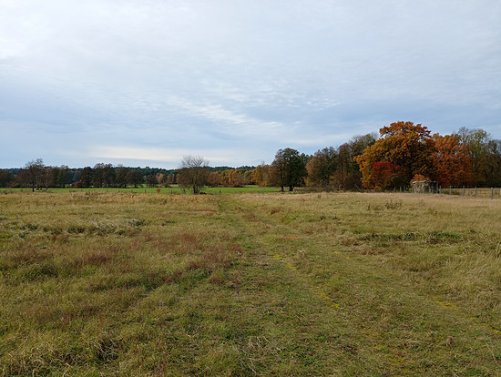 Winterpokal-Aktivität