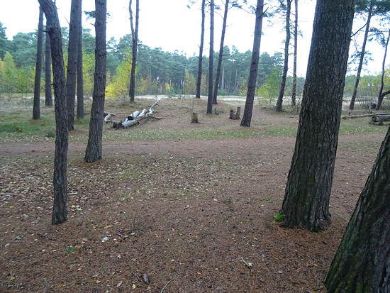 Holmer Sandberge, Elbdeich