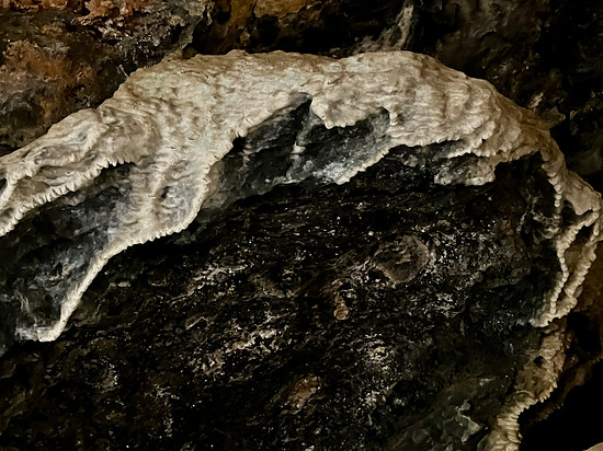 90/10 💯- Gravel Tour mit Herbert + Friends 🚴‍♂️🚴‍♂️🚴‍♂️🚴‍♂️🍀👍🏼