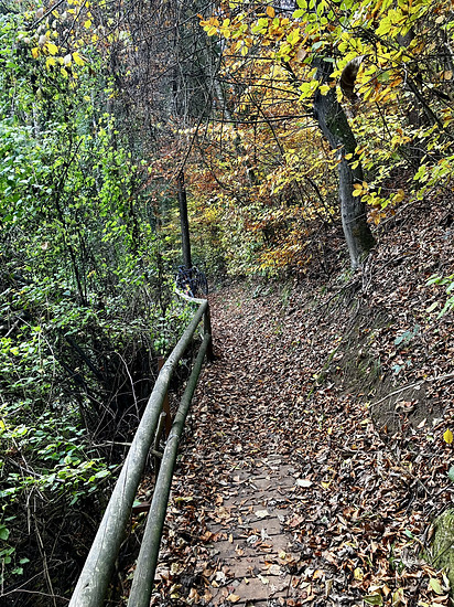 90/10 💯- Gravel Tour mit Herbert + Friends 🚴‍♂️🚴‍♂️🚴‍♂️🚴‍♂️🍀👍🏼