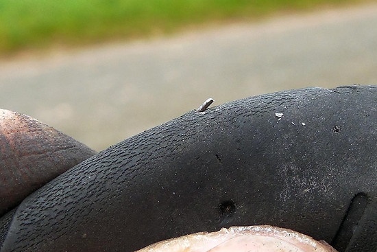 Winterpokal-Aktivität