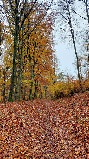 Winterpokal-Aktivität