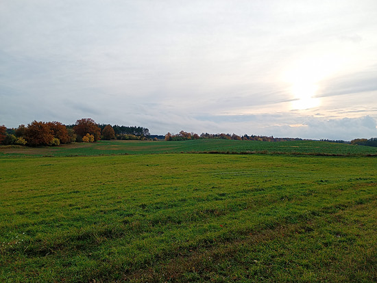 Winterpokal-Aktivität