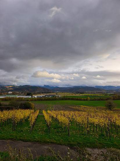 Nachtrag aus ChillRun mangels Strava GPS