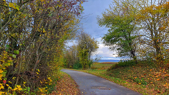 Langsamer Lauf mit ein paar Höhenmeter