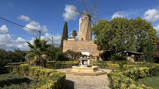 P-RTF Ans Gebirge nach Alaró