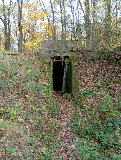 Winterpokal-Aktivität