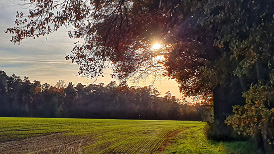 Radtour durch die herbstliche Weiherlandschaft