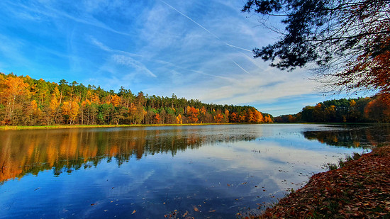 Radtour durch die herbstliche Weiherlandschaft