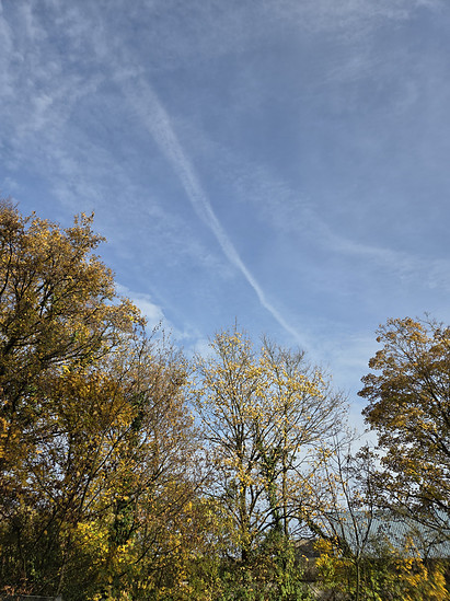 Winterpokal-Aktivität