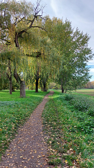 Winterpokal-Aktivität