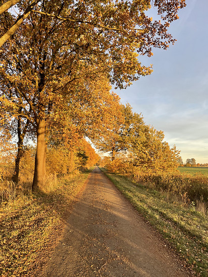 Winterpokal-Aktivität