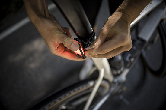 MG 25 09 Lupine Gardasee 7098-wp