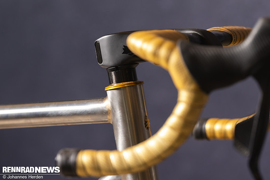 Big Forest Frameworks-9