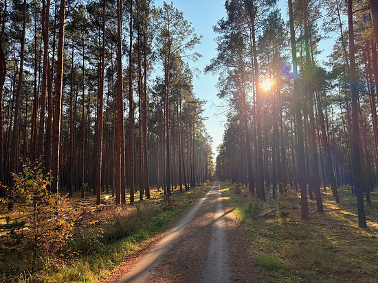 Mittagspause 🔲 Squadratinho +7, Yardinho +15