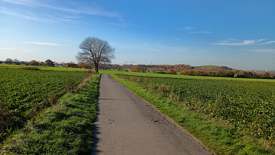 Winterpokal-Aktivität