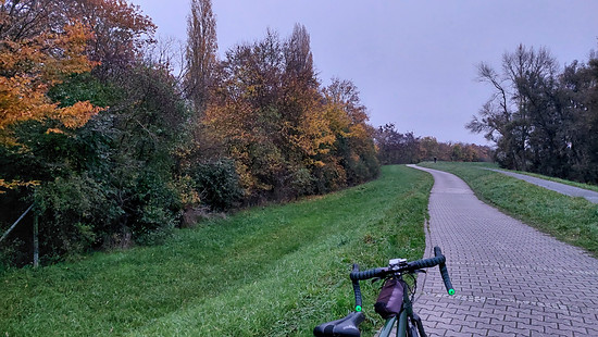 Winterpokal-Aktivität