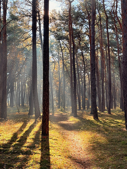 🔲 Squadratinho +53, Yardinho +36