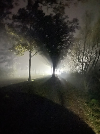 Winterpokal-Aktivität