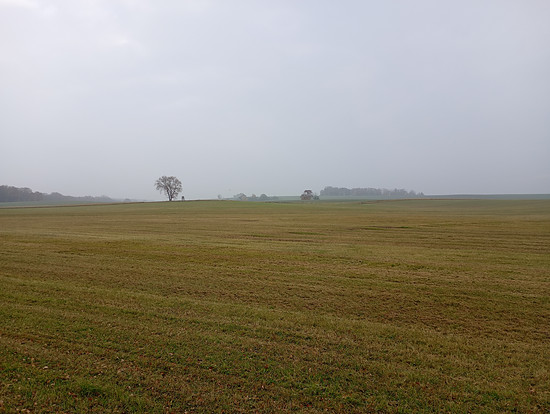 Winterpokal-Aktivität