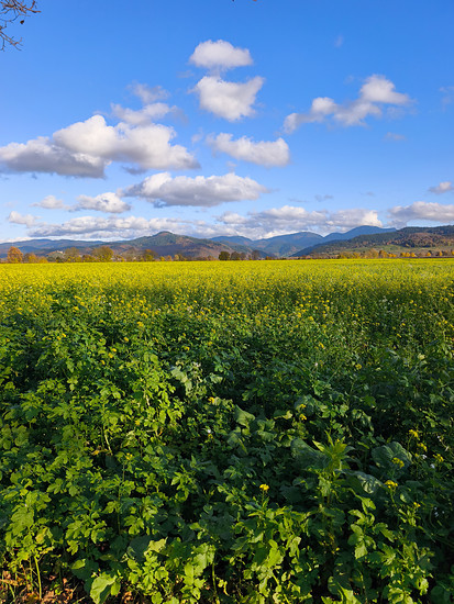 ChillRide: oben sonnig, unten nass und rundherum windig