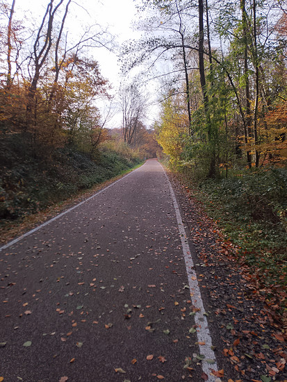 bisschen Sport am Morgen ☕
