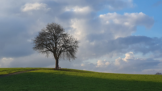 Spaziergang von der Werkstatt nach Hause