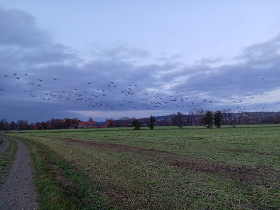 Winterpokal-Aktivität