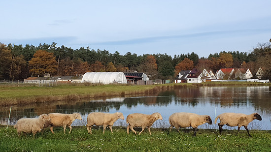 Nachmittagsrunde durch ländliche Idylle
