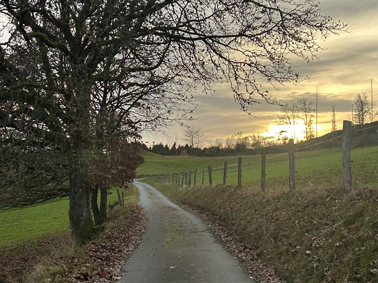 Südliche Wärme unter Schleierwolken