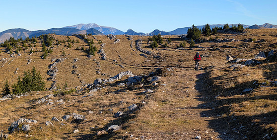 Winterpokal-Aktivität