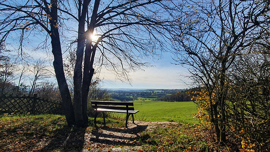 Sonntagsrunde am letzten milden Novembertag