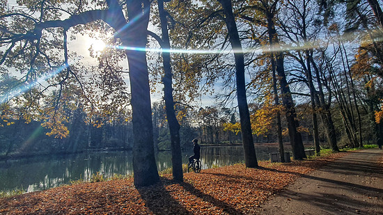 Sonntagsrunde am letzten milden Novembertag