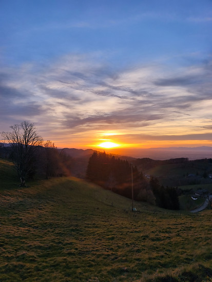 Unter Geiern 🌞🐎 noch einmal in kurz/kurz hoch 🤩