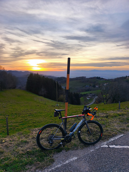 Unter Geiern 🌞🐎 noch einmal in kurz/kurz hoch 🤩