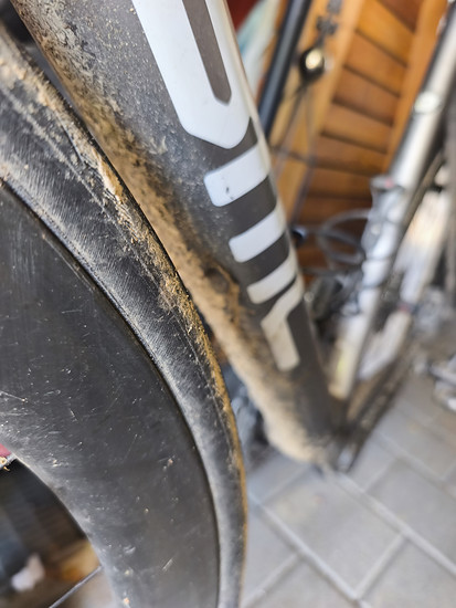 Unter Geiern 🌞🐎