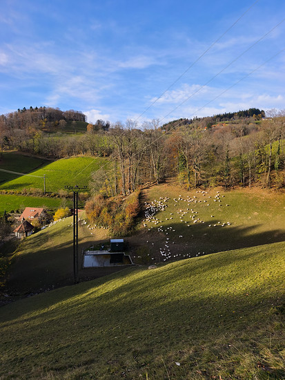 Unter Geiern 🌞🐎