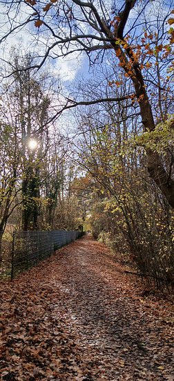 Matsch - und Modder - Tour