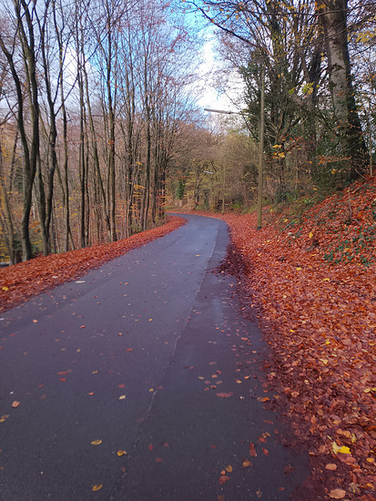 Runde zum Langenberger Sender 🌬️🌬️🌧️🌬️🥶🌥️