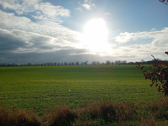 Winterpokal-Aktivität
