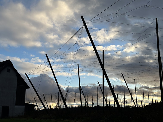 Ne Großpackung Katzenfutter den Messeberg raufgetreten