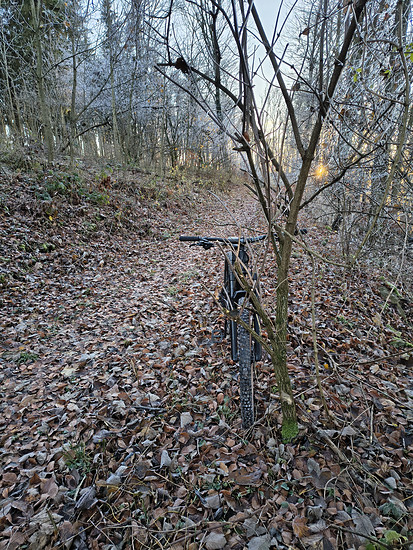 Winterpokal-Aktivität