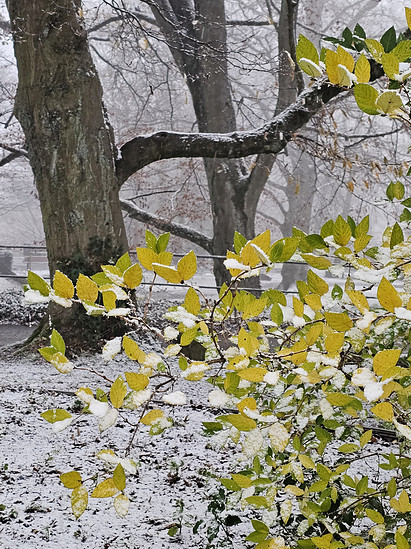 Jetzt hat WP richtig angefangen 😃